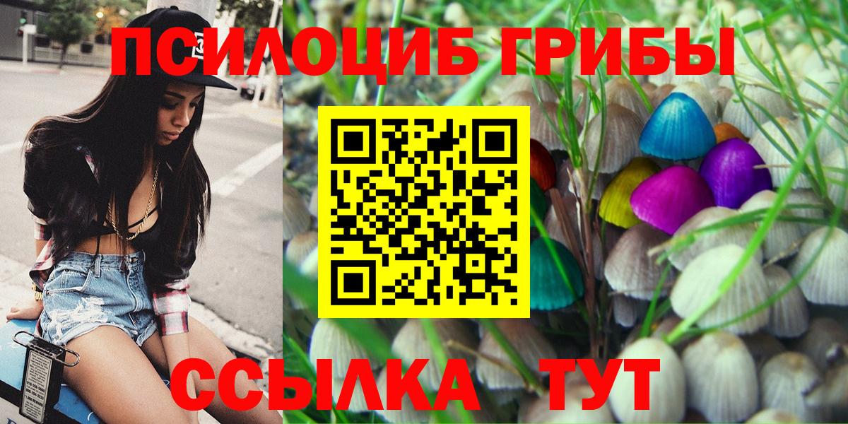 Зеленокумск  Псилоцибиновые грибы MAGIC MUSHROOMS  Вход с VPN 